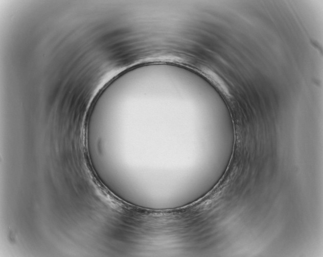 X0000094231044200710261009