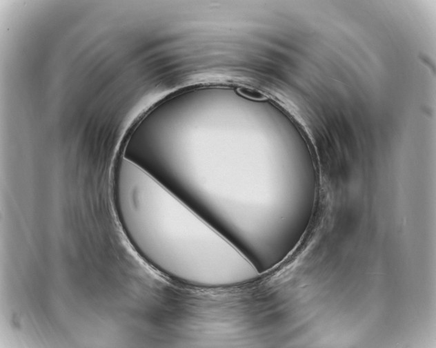 X0000094231045200710261009