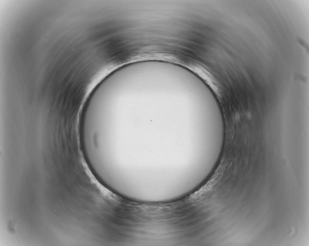 X0000094231046200710261009