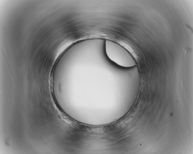 X0000094231047200710261009