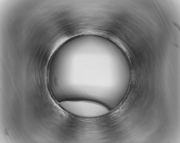 X0000094231048200710261009