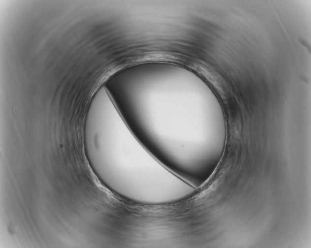 X0000094231049200710261009