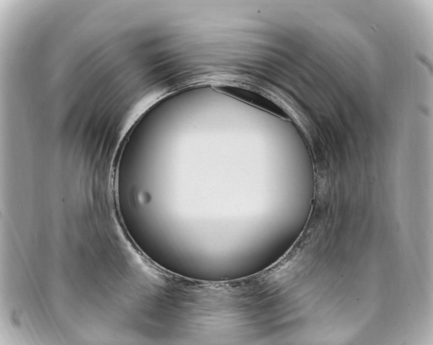 X0000094231050200710261009