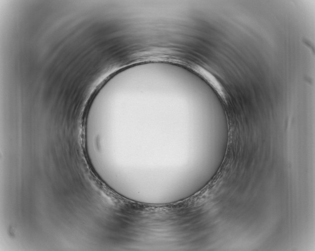 X0000094231051200710261009