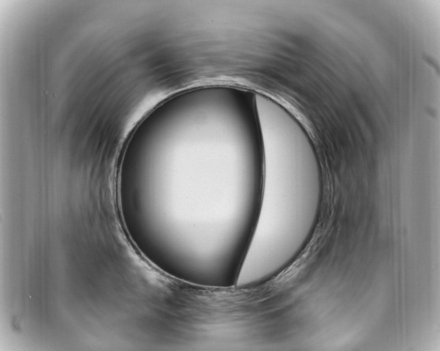 X0000094231054200710261009