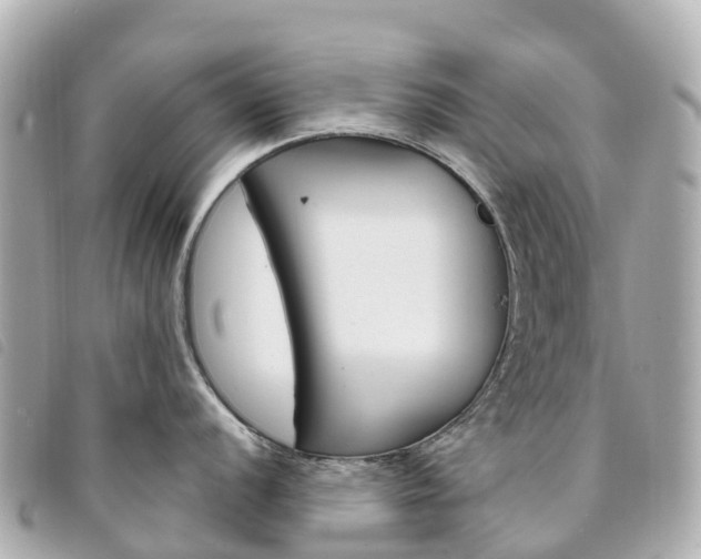 X0000094231056200710261010
