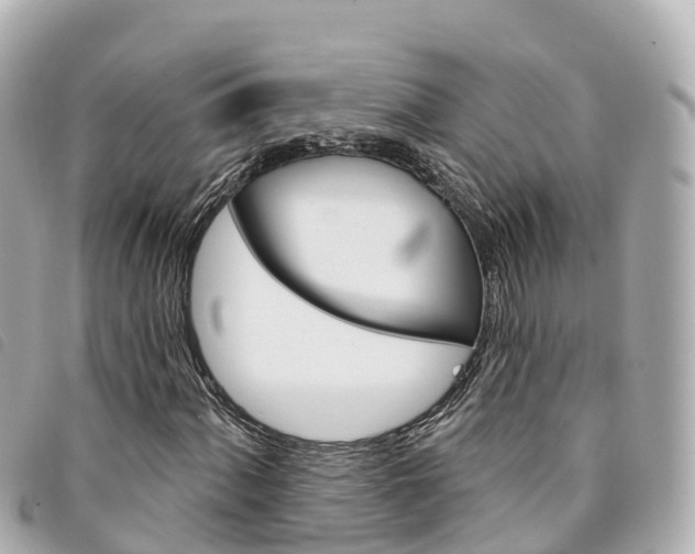 X0000094231060200710261009