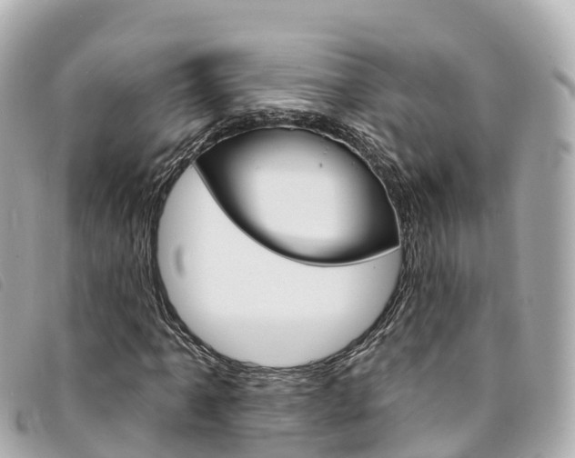 X0000094231061200710261009
