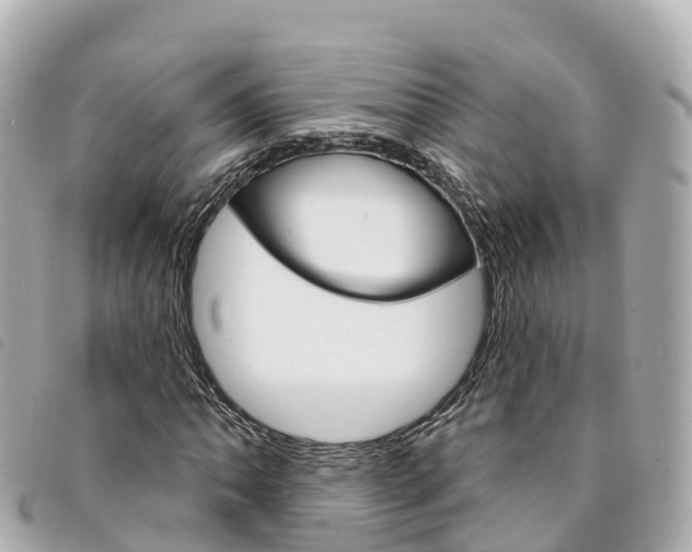 X0000094231062200710261009