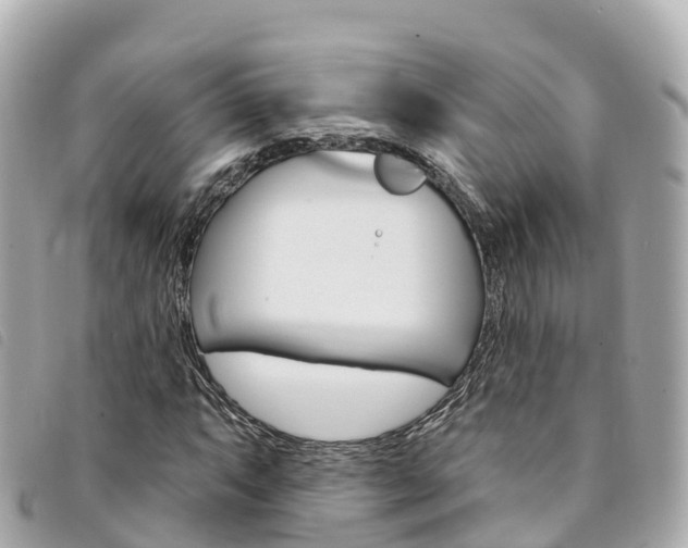 X0000094231063200710261009