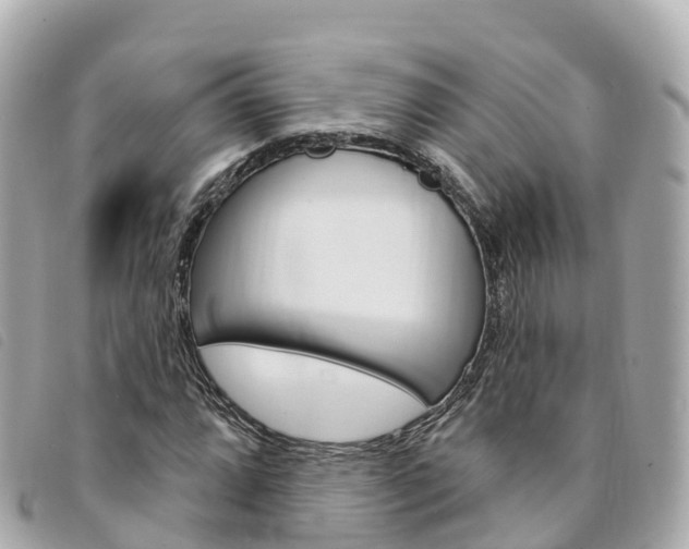 X0000094231064200710261009