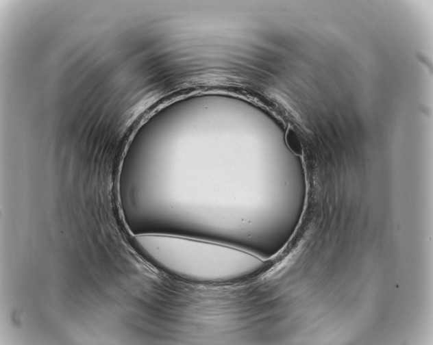 X0000094231065200710261009