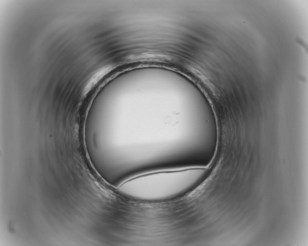X0000094231066200710261009