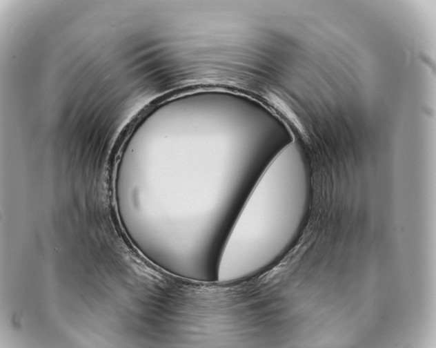 X0000094231068200710261009