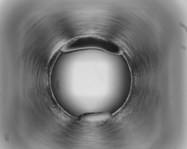 X0000094231069200710261009