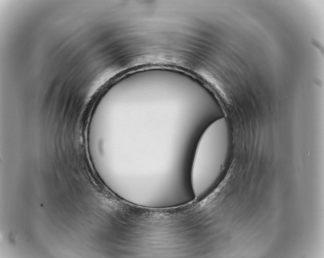 X0000094231070200710261009