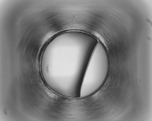X0000094231072200710261009