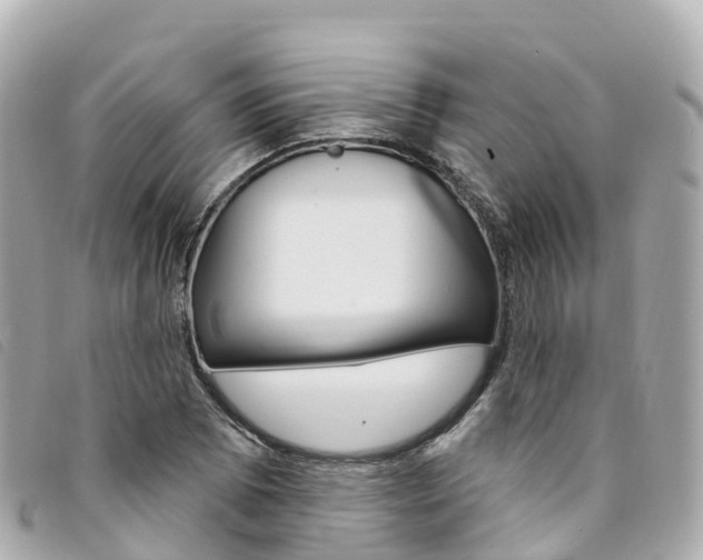 X0000094231073200710261009