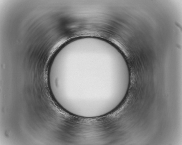 X0000094231074200710261009