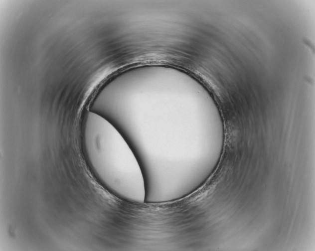 X0000094231075200710261009
