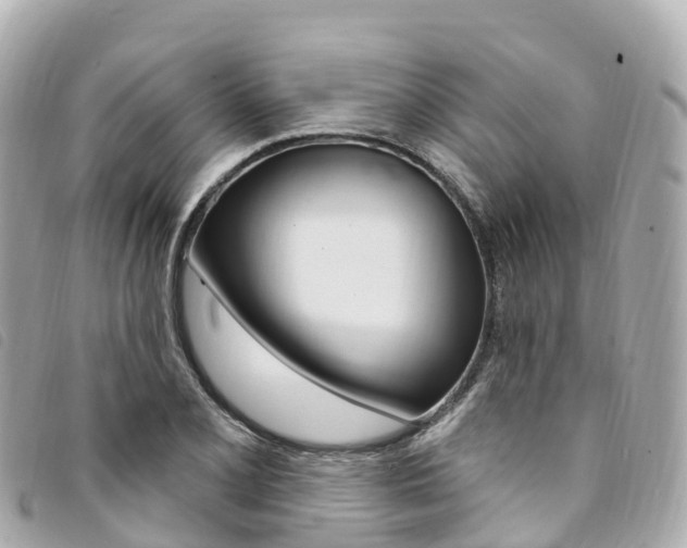 X0000094231077200710261009