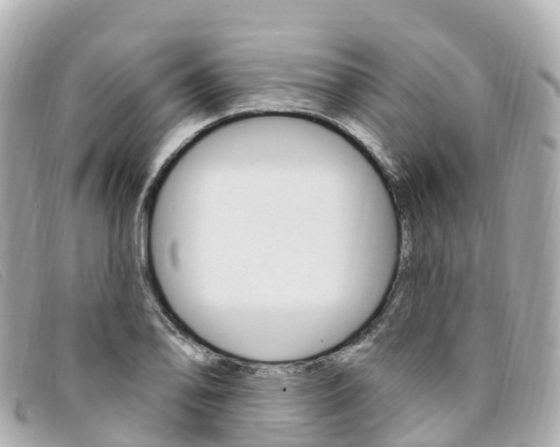 X0000094231078200710261009
