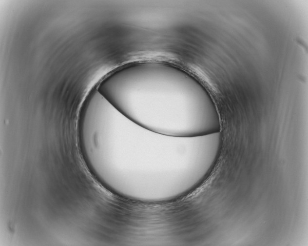 X0000094231079200710261009