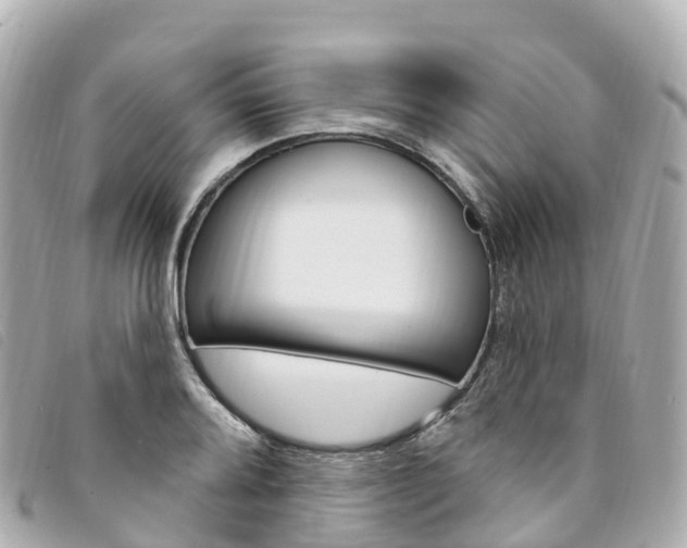 X0000094231080200710261009