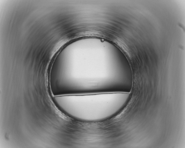 X0000094231082200710261009
