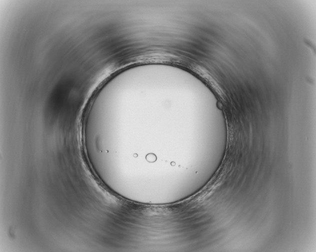 X0000094231083200710261009