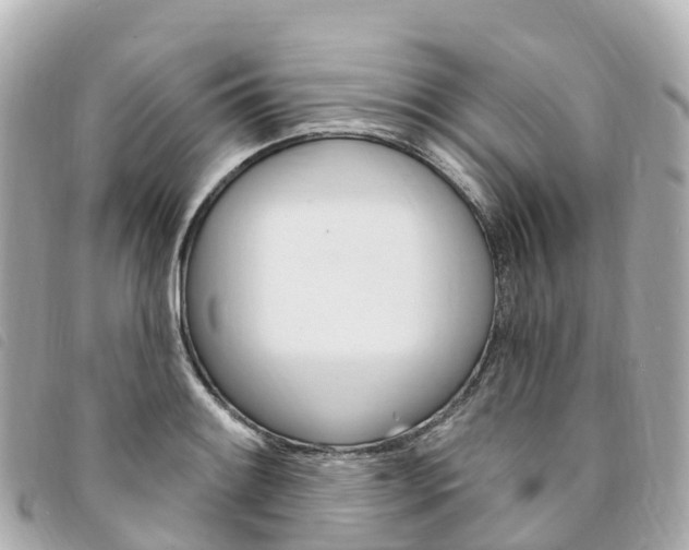 X0000094231084200710261009