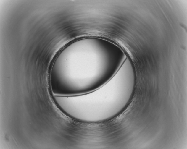 X0000094231085200710261009