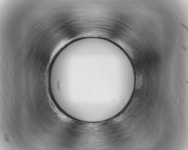 X0000094231086200710261009