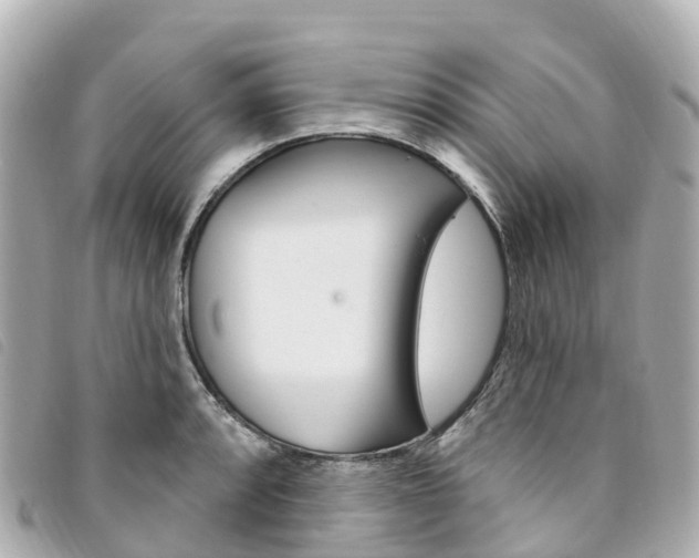 X0000094231088200710261009