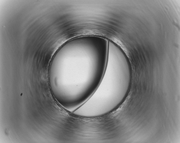 X0000094231089200710261009