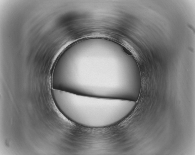 X0000094231092200710261009