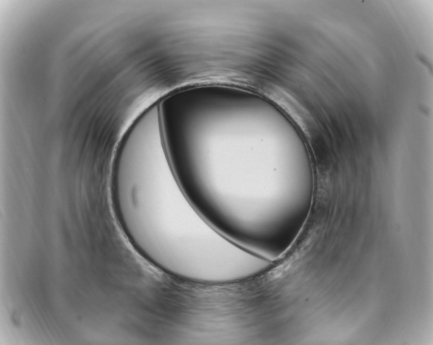 X0000094231093200710261008