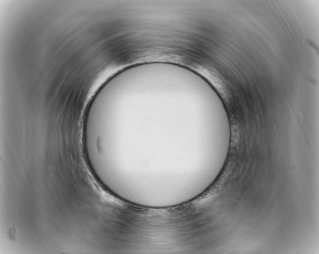 X0000094231094200710261008