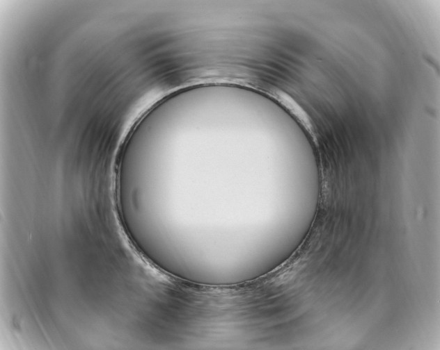 X0000094231096200710261008