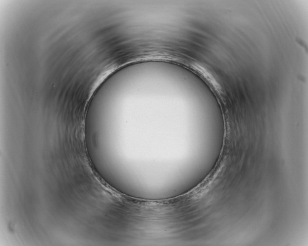 X0000094231097200710261008