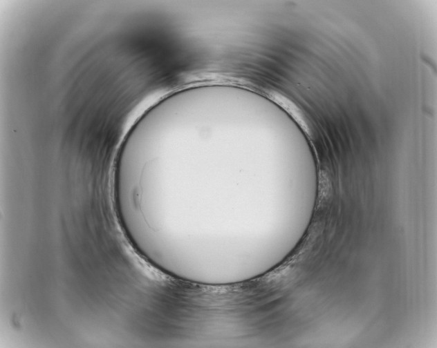 X0000094231098200710261008