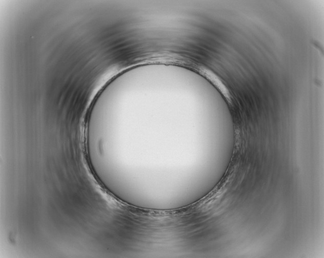 X0000094231099200710261008