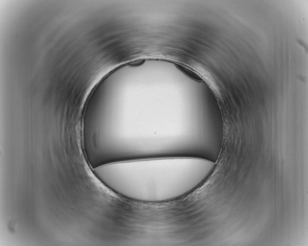 X0000094231100200710261008