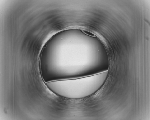 X0000094231102200710261008