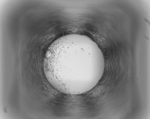 X0000094231105200710261008