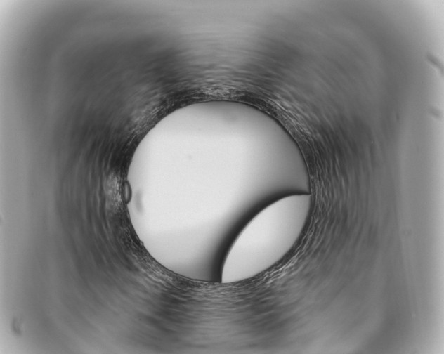 X0000094231106200710261008
