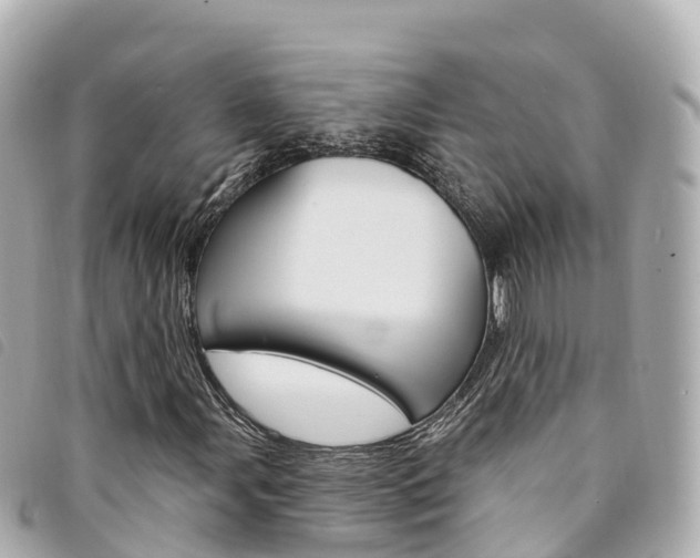X0000094231107200710261008