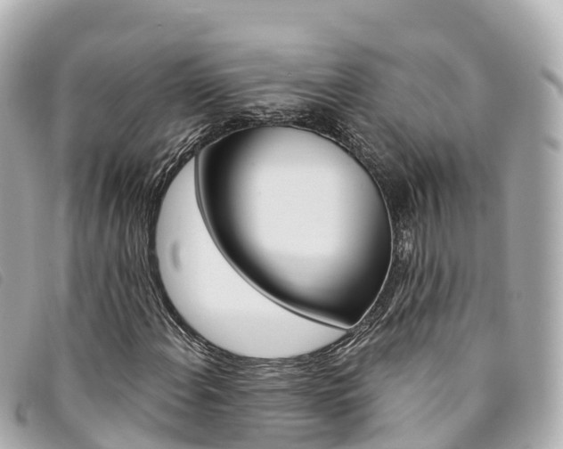 X0000094231108200710261008