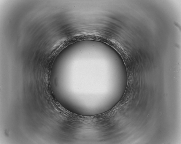 X0000094231110200710261008
