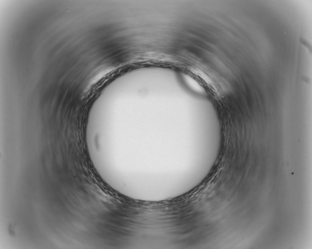 X0000094231112200710261008